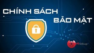 Chính sách bảo mật Pi Group