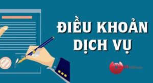 điều khoản dịch vụ picitypigroups.vn