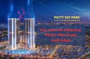 Giá chuyển nhượng picity sky park mới nhất