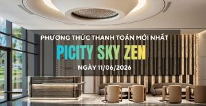 Phương thức thanh toán mới nhất Picity Sky Zen - 11/02/2026